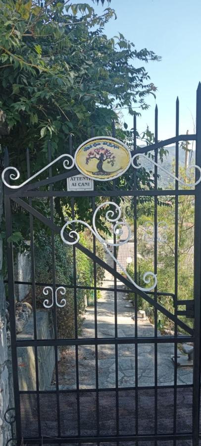Bed and Breakfast Casa Dell'Aura Кьявари Экстерьер фото
